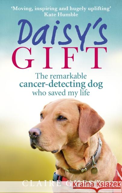 Daisy's Gift: The Remarkable Cancer-Detecting Dog Who Saved My Life Guest, Claire 9780753557426 Ebury Publishing - książka