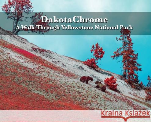 DakotaChrome: A Walk Through Yellowstone National Park Christian Kirsch 9781952465598 Painted Gate Publishing - książka