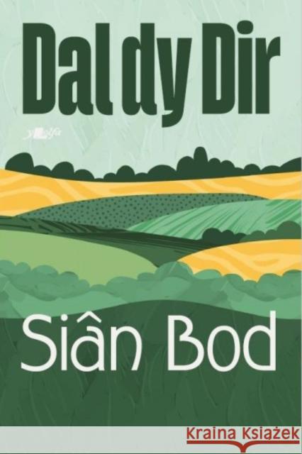 Dal dy Dir Sian Williams 9781800996878 Y Lolfa - książka