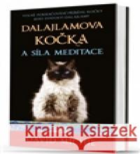 Dalajlamova kočka a síla meditace David Michie 9788073703691 Synergie - książka