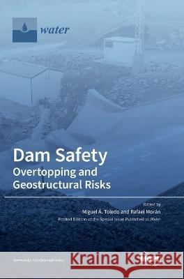 Dam Safety.: Overtopping and Geostructural Risks Miguel ?. Toledo Rafael Mor?n 9783036556550 Mdpi AG - książka