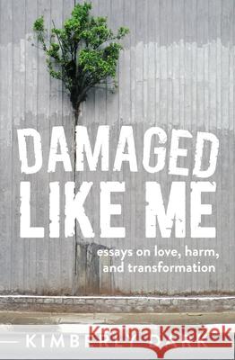 Damaged Like Me: Essays on Love, Harm and Transformation Kimberly Dark 9781849354141 AK Press - książka