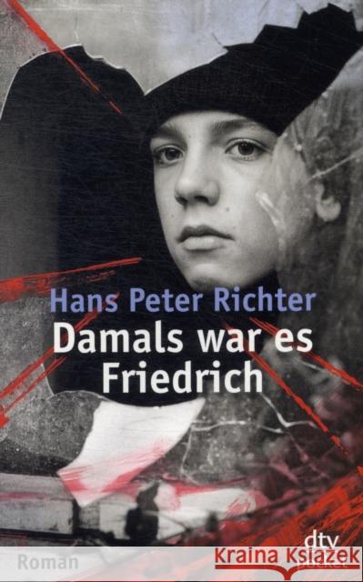 Damals war es Friedrich  Richter 9783423078009 DTV - książka