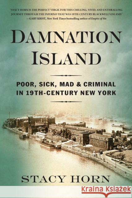 Damnation Island: Poor, Sick, Mad, and Criminal in 19th-Century New York Stacy Horn 9781616209353 Algonquin Books - książka