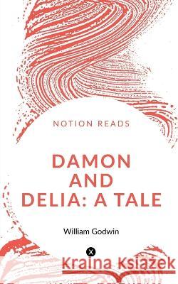 Damon and Delia William Godwin 9781648993305 Notion Press - książka