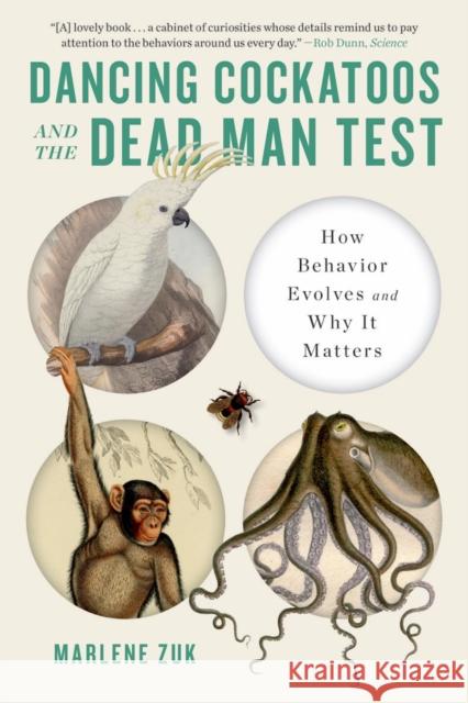 Dancing Cockatoos and the Dead Man Test: How Behavior Evolves and Why It Matters Zuk, Marlene 9781324064404 WW Norton & Co - książka