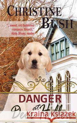 Danger at Deer Hollow Christine Bush 9781467956925 Createspace - książka