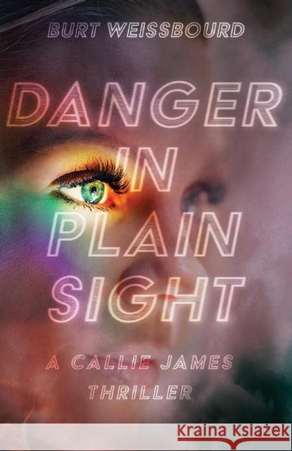 Danger in Plain Sight Burt Weissbourd 9781644284827 Rare Bird Books - książka