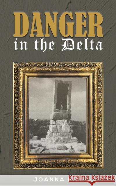 Danger in the Delta Joanna Hill 9781398440944 Austin Macauley - książka