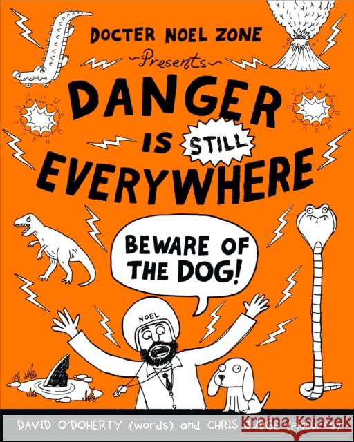 Danger is Still Everywhere: Beware of the Dog (Danger is Everywhere book 2) David O'Doherty 9780141359205 PUFFIN - książka
