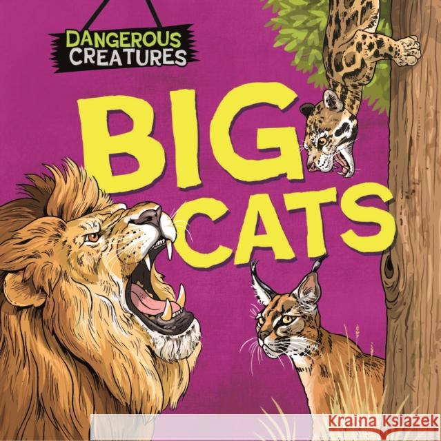 Dangerous Creatures: Big Cats Huggins-Cooper, Lynn 9781526328397 Hachette Children's Group - książka