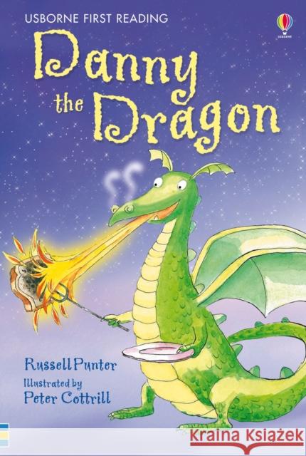 Danny the Dragon Russell Punter 9780746096574 Usborne Publishing Ltd - książka