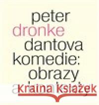 Dantova Komedie: obrazy a kontexty Peter Dronke 9788075303370 Malvern - książka