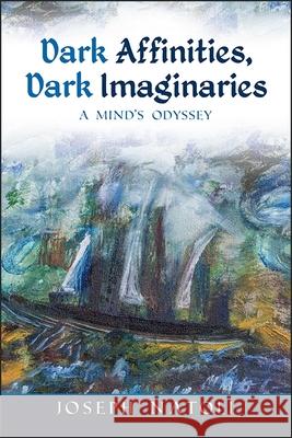 Dark Affinities, Dark Imaginaries: A Mind's Odyssey Joseph Natoli 9781438463506 State University of New York Press - książka