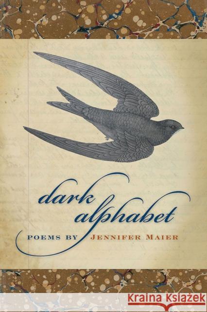 Dark Alphabet Jennifer Maier 9780809327263 Southern Illinois University Press - książka
