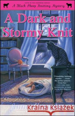Dark and Stormy Knit Canadeo, Anne 9781451644807 Gallery Books - książka