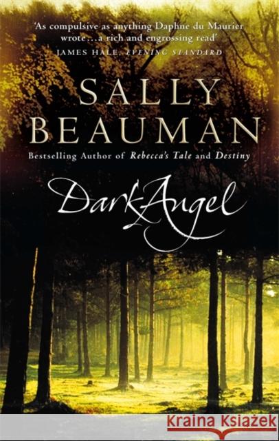 Dark Angel Sally Beauman 9780751534658 Little, Brown Book Group - książka
