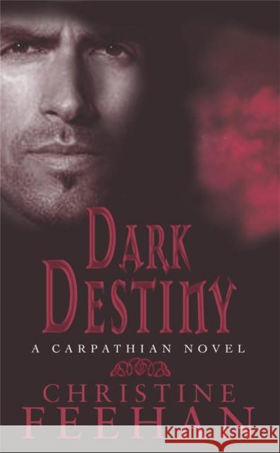 Dark Destiny: Number 13 in series Christine Feehan 9780749938529  - książka