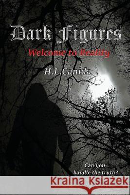 Dark Figures: Welcome to Reality Heather Canida Heather Wilson 9781511643917 Createspace - książka