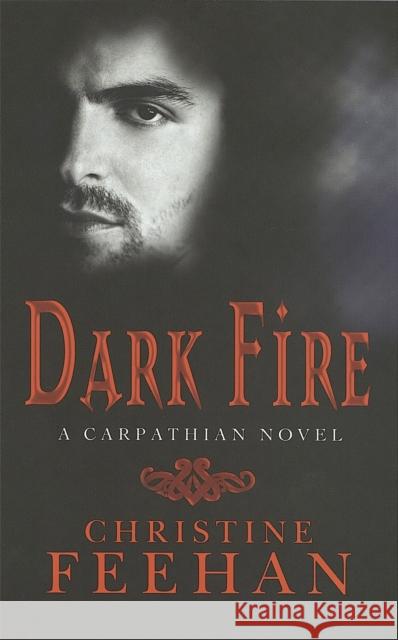 Dark Fire: Number 6 in series Christine Feehan 9780749937843 Little, Brown Book Group - książka