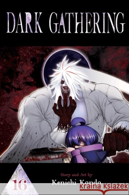 Dark Gathering, Vol. 16 Kenichi Kondo 9781974758852 VIZ Media LLC - książka
