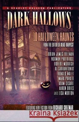Dark Hallows: 10 Halloween Haunts Richard Chizmar 9781517486471 Createspace - książka