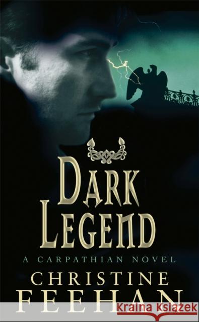 Dark Legend: Number 8 in series Christine Feehan 9780749937676 Little, Brown Book Group - książka