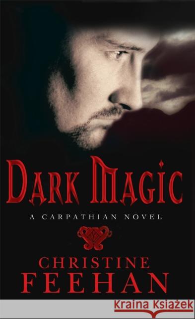 Dark Magic: Number 4 in series Christine Feehan 9780749937614 Little, Brown Book Group - książka