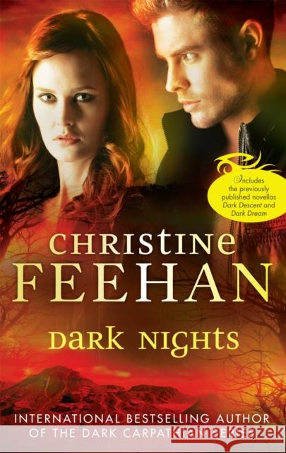 Dark Nights Christine Feehan 9780749958466 Little, Brown Book Group - książka