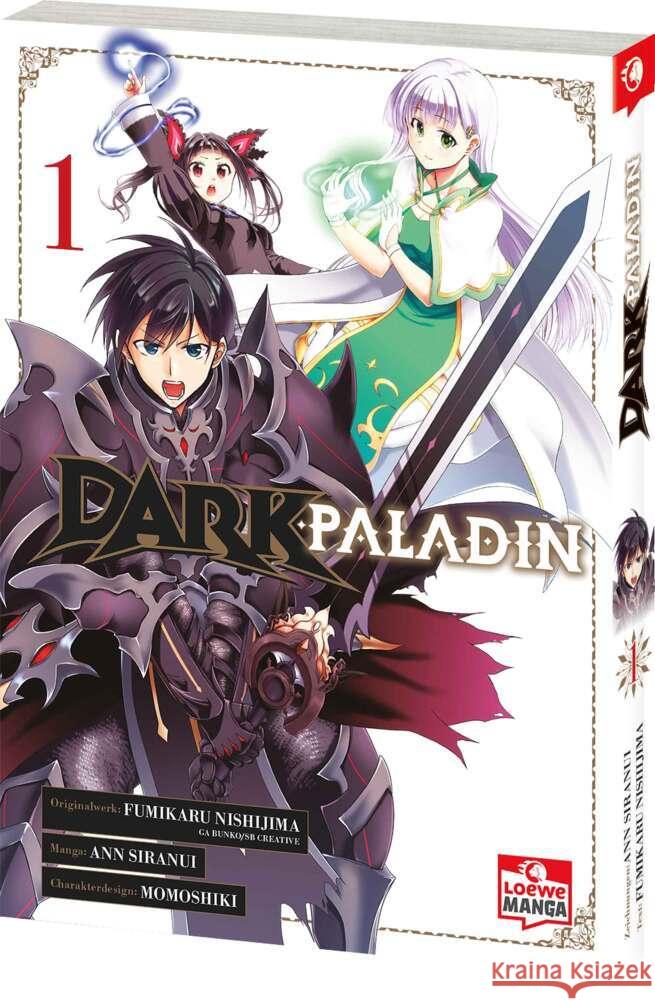 Dark Paladin 01 Nishijima, Fumikaru 9783743220119 Loewe - książka