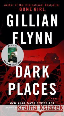 Dark Places Gillian Flynn 9781101902882 Broadway Books - książka