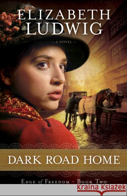 Dark Road Home E Ludwig 9780764210402 Baker Publishing Group - książka