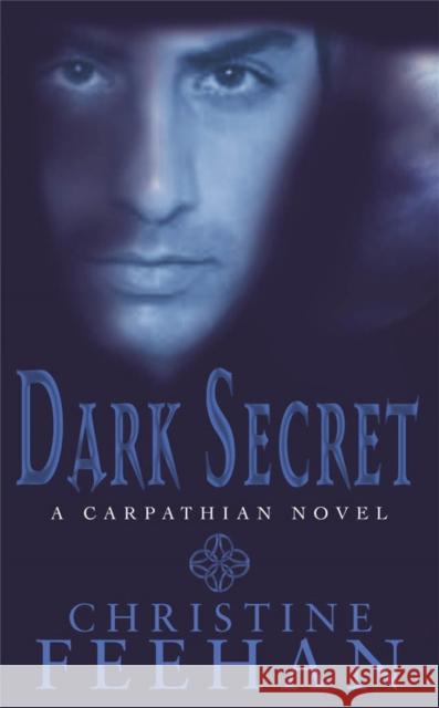 Dark Secret: Number 15 in series Christine Feehan 9780749938536 Little, Brown Book Group - książka