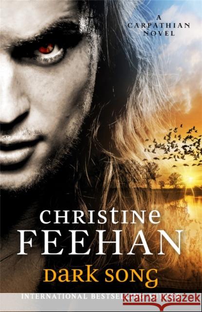 Dark Song Christine Feehan 9780349426754 Little, Brown - książka