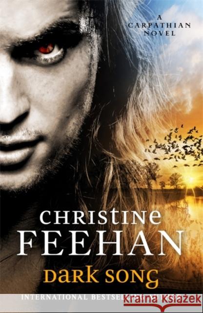 Dark Song Christine Feehan 9780349426761 Little, Brown Book Group - książka