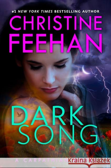 Dark Song Christine Feehan 9780593099834 Berkley Books - książka