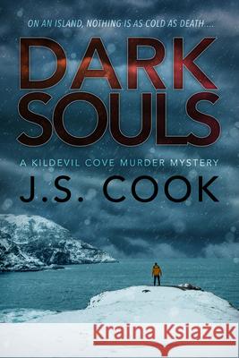 Dark Souls: Volume 4 J. S. Cook 9781641083676 DSP Publications LLC - książka