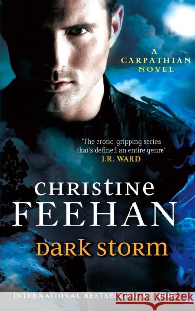 Dark Storm: Number 23 in series Christine Feehan 9780749957544 Little, Brown Book Group - książka