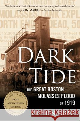 Dark Tide: The Great Boston Molasses Flood of 1919 Stephen Puleo 9780807078006 Beacon Press - książka