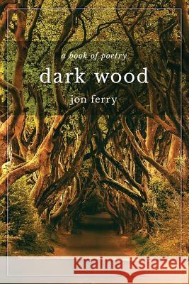 Dark Wood Jon Ferry 9781988925271 Prominence Publishing - książka