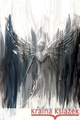 Darkness Consumes Light Empowers Alexandra Rae 9781796042061 Xlibris Us - książka