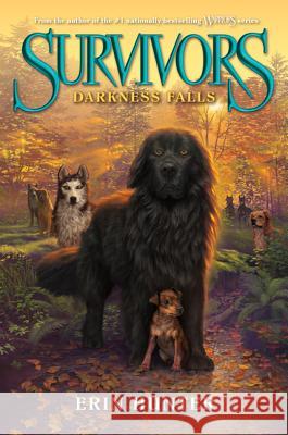 Darkness Falls Erin Hunter 9780062102669 HarperCollins - książka