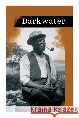 Darkwater: Voices from Within the Veil W E B Du Bois 9788027340026 e-artnow - książka