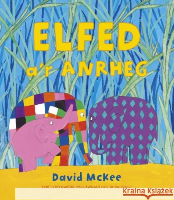 Darllen yn Well: Elfed a'r Anrheg David McKee 9781802587517 Graffeg Limited - książka