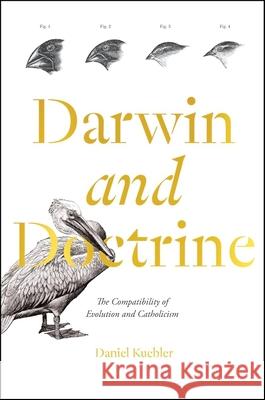 Darwin and Doctrine Daniel Kuebler 9781685781583 Word on Fire - książka