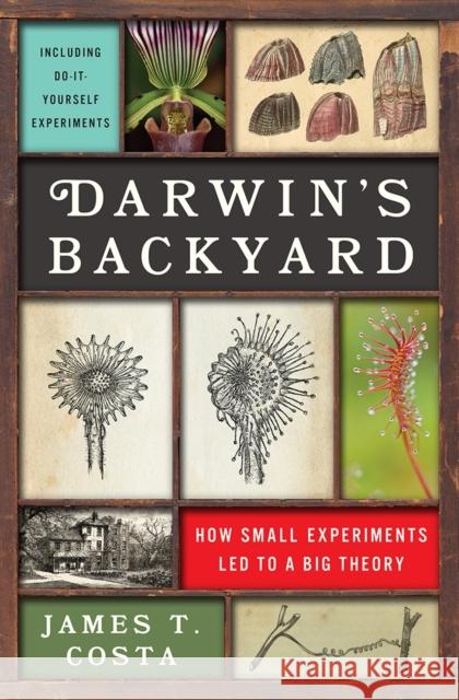 Darwin's Backyard: How Small Experiments Led to a Big Theory Costa, James T. 9780393239898 W. W. Norton & Company - książka