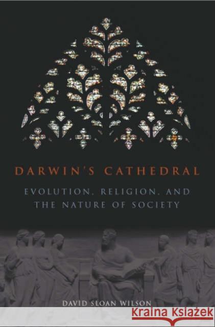 Darwin`s Cathedral – Evolution, Religion, and the Nature of Society David Wilson 9780226901350 The University of Chicago Press - książka