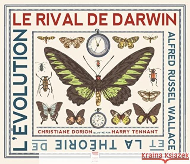 Darwin's Rival: Alfred Russel Wallace and the Search for Evolution Christiane Dorion 9781529525854 Walker Books Ltd - książka