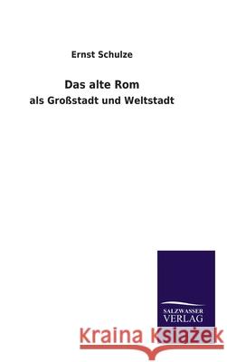 Das alte Rom: als Großstadt und Weltstadt Schulze, Ernst 9783846065648 Salzwasser-Verlag - książka