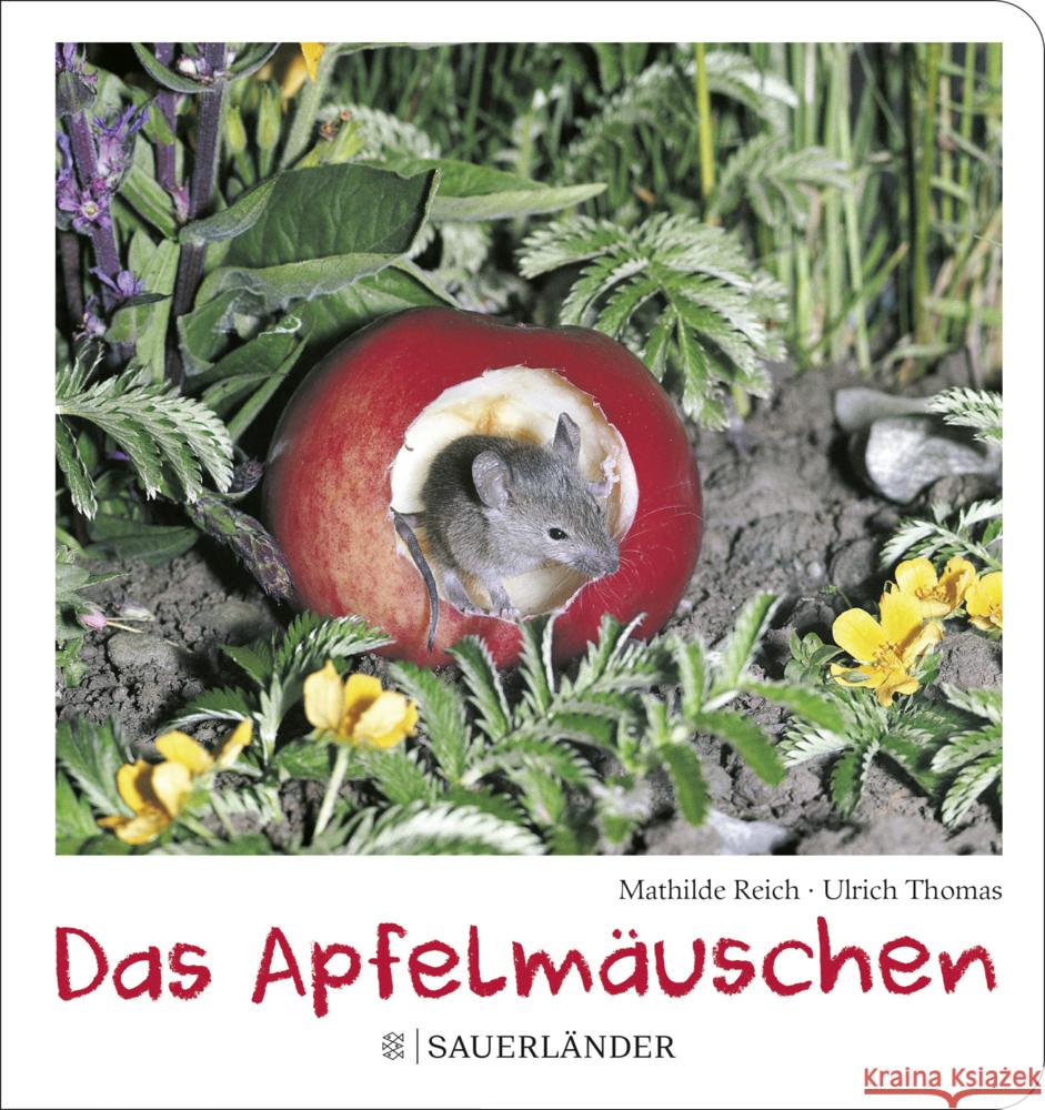 Das Apfelmäuschen (Pappbilderbuch) Reich, Mathilde 9783737358965 FISCHER Sauerländer - książka